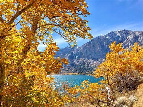 Late Fall Colors At Convict Lake Inyo National Forest Cal Flickr