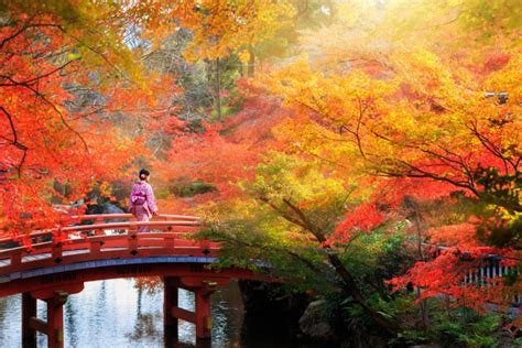 10 Best Places To See Autumn Leaves In Japan Japan Rail Pass