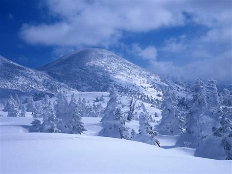 1600x1200 Mountains Snow Snowdrifts Trees Cover White Veil