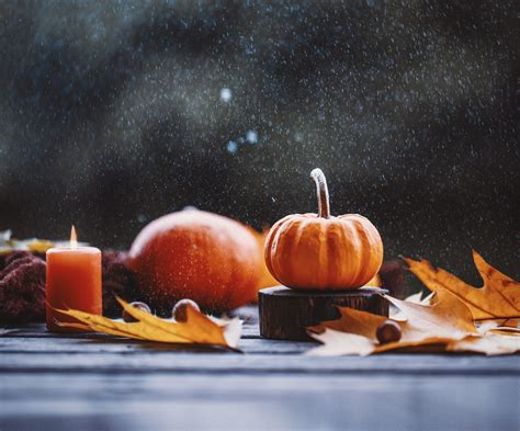 60 Pumpkin Hd Wallpapers And Backgrounds