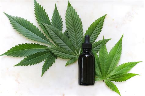 Cbd Infused Products For Cannabidiol Newbies Popular Science
