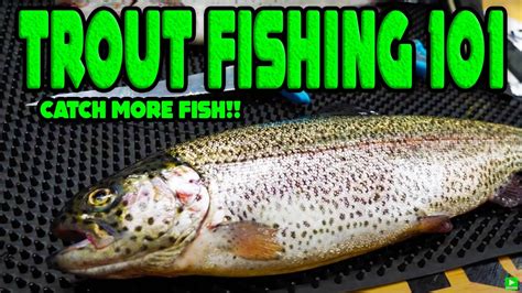Trout Fishing 101 Beginners Guide To Success Youtube