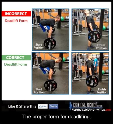 How To Do The Deadlift With Proper Form Useful Information