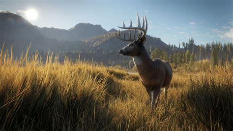 Now that the doggo has been out for a little while, we are really want to get your thoughts and feedback on it! The Hunter Call Of The Wild (COTW) Update 1.29 Patch Notes