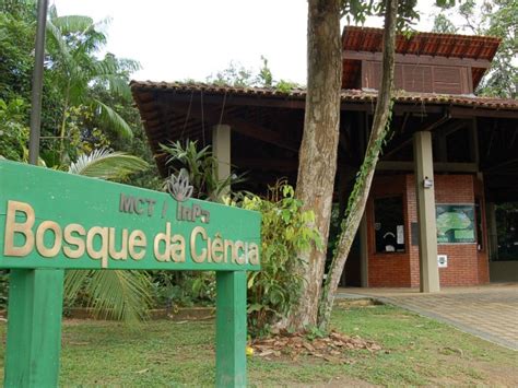 G1 Bosque Da Ciência Em Manaus Abre Na Véspera De Natal E Ano Novo