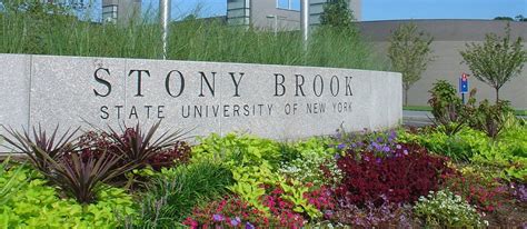 Stony Brook University State University Of New York Rankings Fees