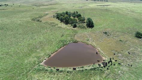 South East Pasture Paradise The Land Nsw