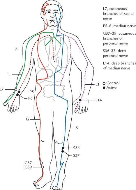Acupuncture Meridian Chart Acupuncture Chinese Medicine Meridians