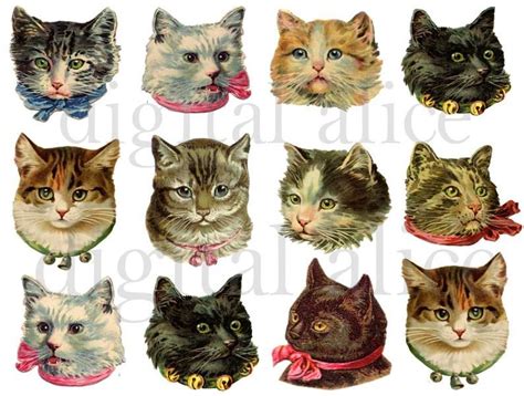 Vintage Victorian Cats Fluffy Cute Kitty Cat Heads Instant Etsy