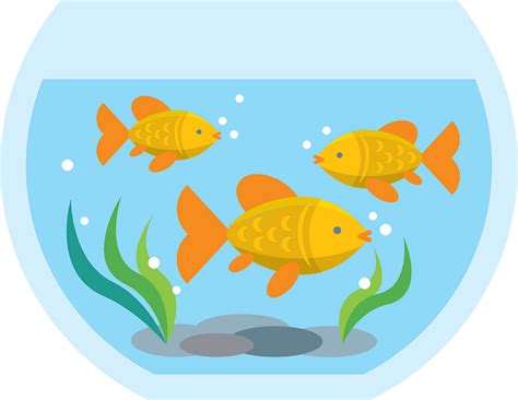 Fish Tank Clipart Free Download Transparent Png Creazilla