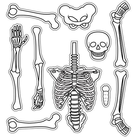 20 Best Large Printable Skeleton Template Pdf For Free At Printablee