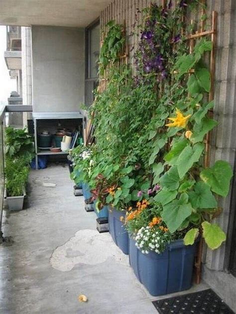180 Container Gardening Ideas And Inspiration Easy Balcony Gardening