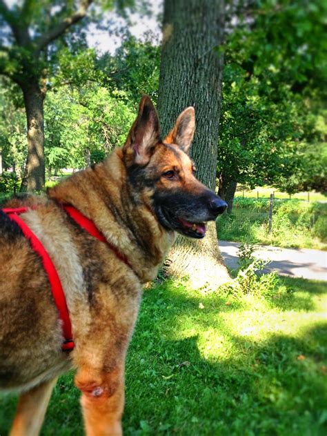 Motivation Monday. Number sign, or hashtag, or whatever. - Flipping the