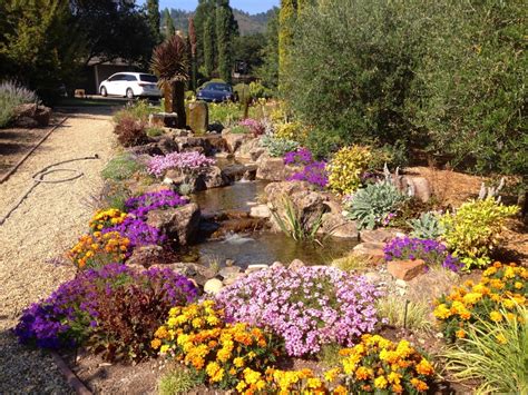 Here's what you need to know to grow and care for your holiday poinsettia throughout the year. What Flowers Bloom All Year Round in California