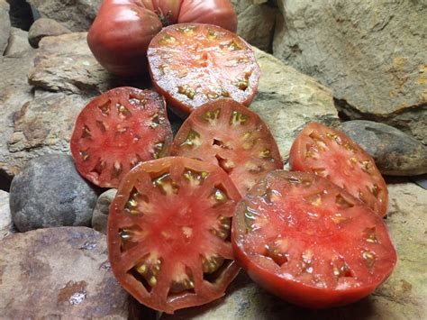 Dwarf Purple Heart Tomato The Best Prolific Black Oxheart By The Dwarf