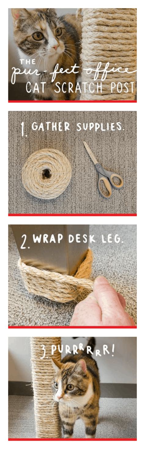 25 Easy And Simple Diy Pet Projects