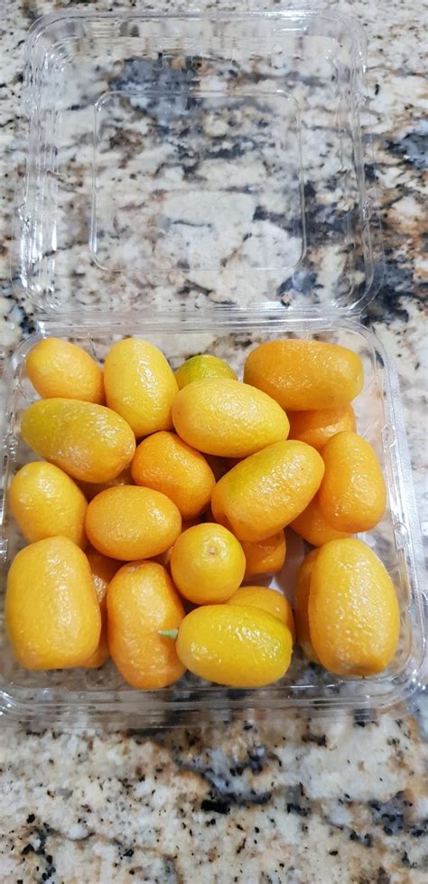 Portocala De Aur Sau Fructul Kumquat Dulu Ana