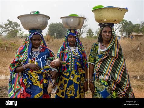 Fulani Tribe Women Of Northern Benin Africa Stock Photo Royalty Free