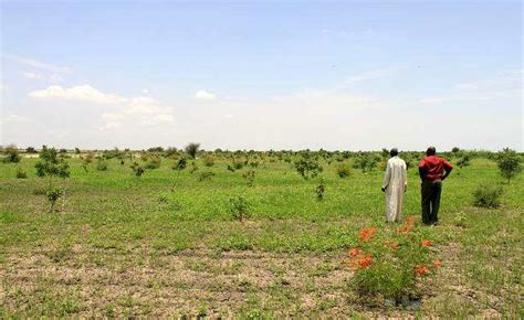 The Great Green Wall Of Africa Greening The Sahel To Turn Back The