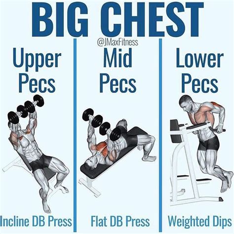 10 Best Chest Exercises For Building Muscle Chest