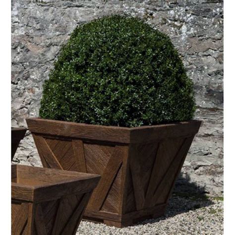 Unique Extra Large Outdoor Planters For Trees Exclusive On