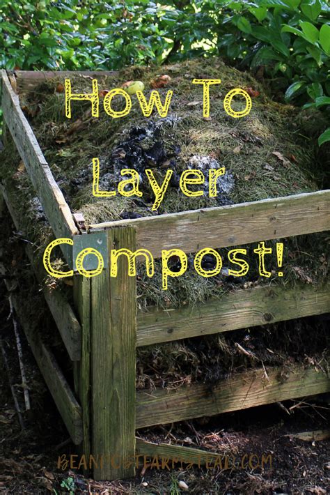 How To Layer Compost Simple Easy And Effective Steps Compost
