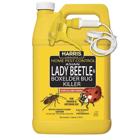 Harris Asian Lady Beetle Japanese Beetle And Box Elder Killer Liquid Spray With Odorless And