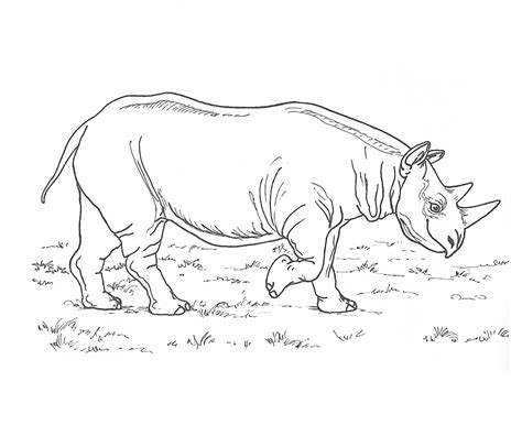 Rhinoceros Coloring Pages to download and print for free