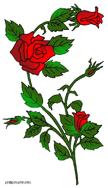 Clipart Rose Bush 10 Free Cliparts Download Images On Clipground 2022