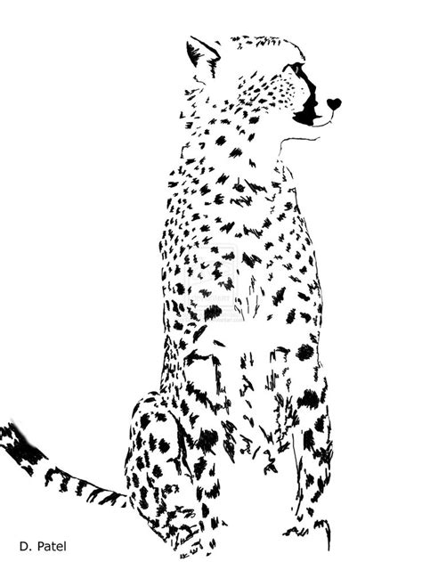 We did not find results for: Cheetah Running Clipart at GetDrawings | Free download