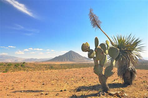 Mexico conjures up diverse, vivid dreams. Marathon races in Mexico | World's Marathons