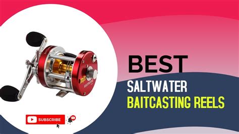 Best Saltwater Baitcasting Reels Top Saltwater Baitcasting Reel