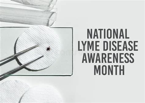 Concept For National Lyme Disease Awareness Month Abstract Medical
