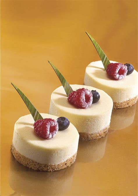Mini Cheesecake Pastry And Bakery Elle And Vire Professionnel