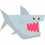 Shark Icon Icons Sharks Svg Library Animals