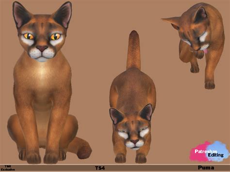 The Sims Resource King Puma