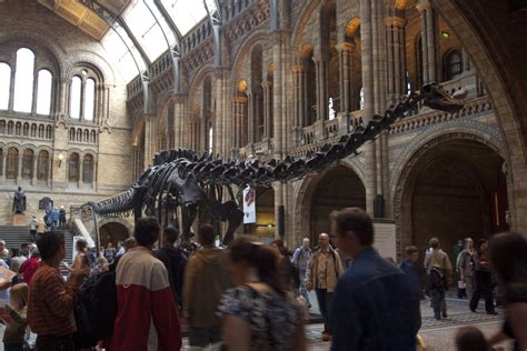 Free Stock Photo 2297 Natural History Museum Freeimageslive