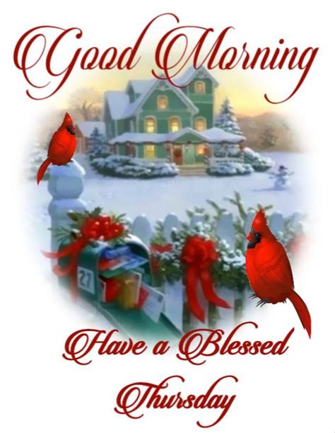 Winter Cardinal Good Morning Blessed Thursday Pictures Photos And
