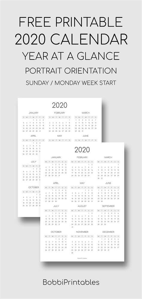 Year At A Glance Printable Calendar 2020