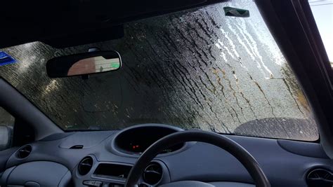 What Causes Condensation On Inside Of Windshield Auto Valuable