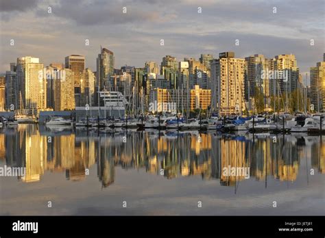 Vancouver Skyline With Coal Harbour Photographed From Stanley Park