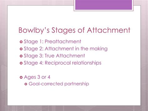 Stages Of Attachment Explained Bowlby S Theory Vrogue Co