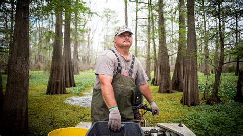 Photographing Americas Next Pipeline Fight In The Swamps Of Louisiana
