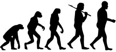 Human Evolution Silhouette Free Vector Silhouettes