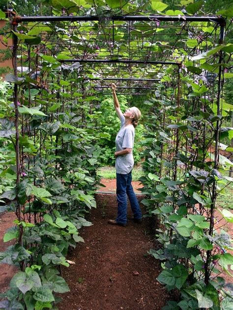We did not find results for: Vegetable Gardens - Quick & Easy Ideas