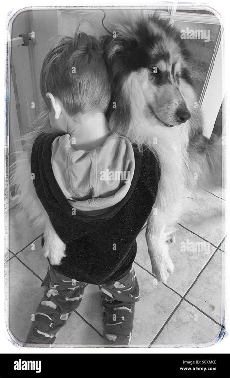Boy Hugging His Dog Stock Photo Alamy
