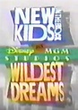 New Kids on the Block at Disney-MGM Studios: Wildest Dreams (TV Special ...
