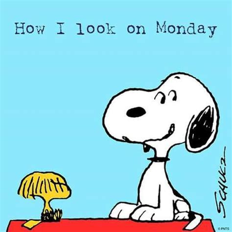 Mondays Snoopy Quotes Snoopy Funny Snoopy