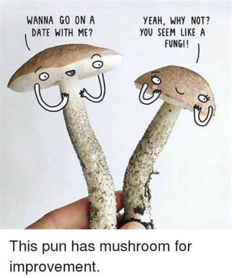 You Seem Like A Fungi Mushroom Puns Mushroom Crafts Cute Puns Funny