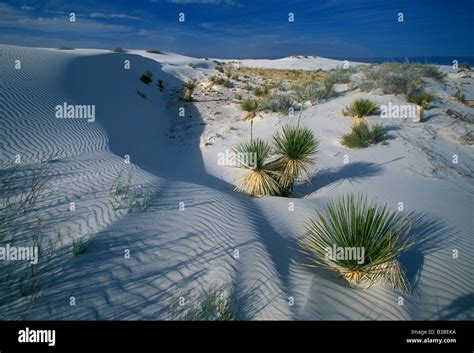 White Sands National Monument Tularosa Basin Public Land Alamogordo